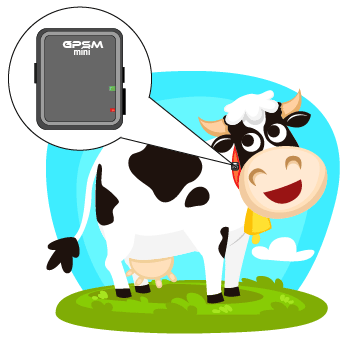 GPS маячок для скота